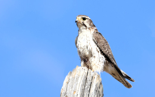 1754254 (a): :1920x1200